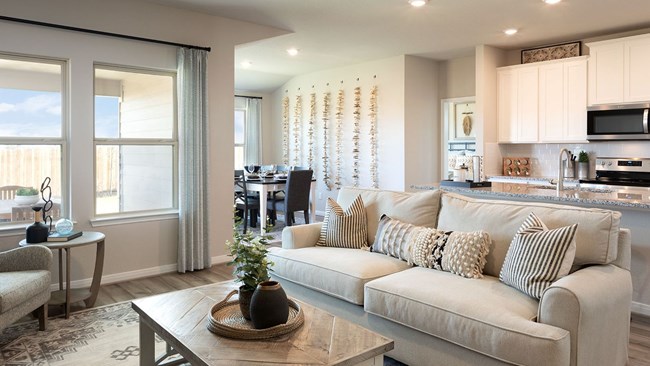 New Homes in Estancia Ranch - Premier Series by Meritage Homes