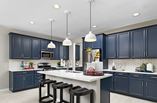 New Homes in Seasons at Asher's Landing
