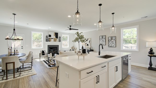 New Homes in High Parc at Smyrna by Traton Homes