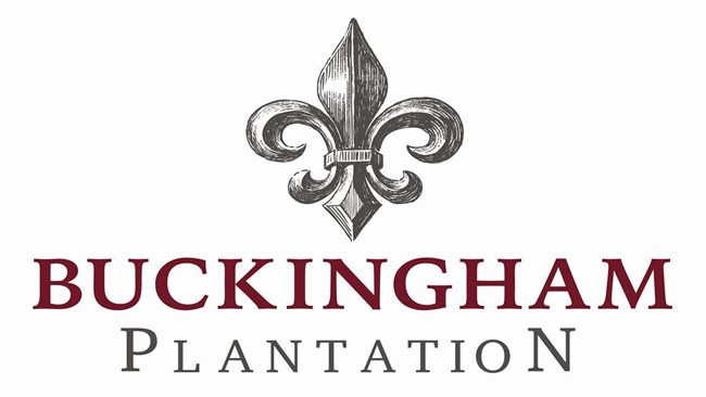 New Homes in Buckingham Plantation by Horizon Home Builders