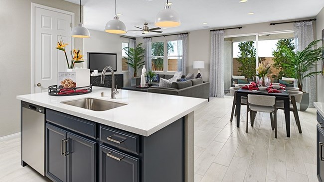 New Homes in Seasons at Park Trace by Richmond American