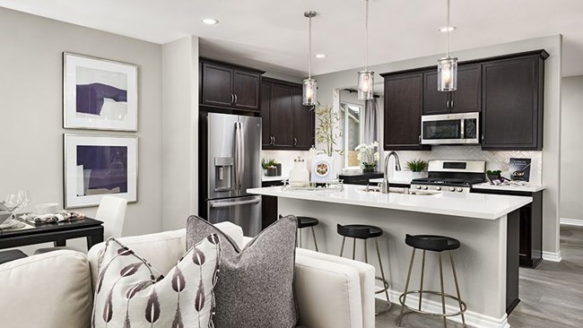 New Homes in Seasons at Hilltop by Richmond American
