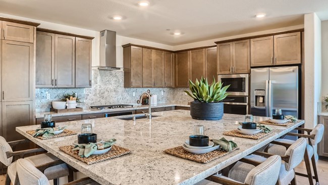 New Homes in Cannon Pointe at Pioneer Village by Lennar Homes