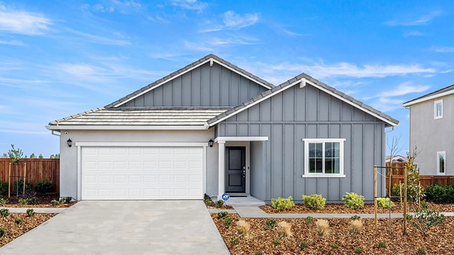 New Homes in Violet at Homestead by D.R. Horton