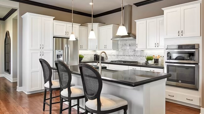 New Homes in Estates at La Cuentista by Pulte Homes