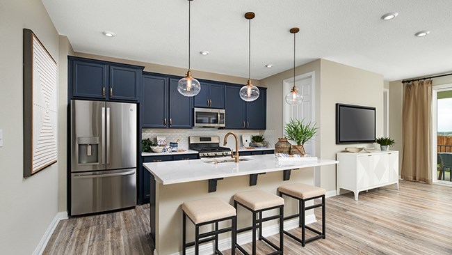 New Homes in Seasons at Blanco Vista by Richmond American