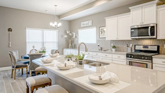 New Homes in Tesoro at Fiesta by Abrazo Homes