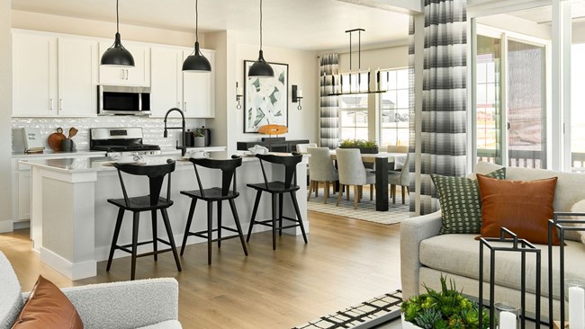 New Homes in The Town Collection at Independence by Taylor Morrison