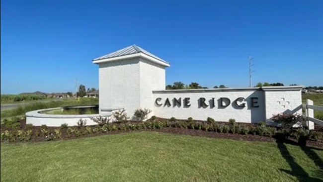 New Homes in Cane Ridge - Thibodaux by DSLD Homes