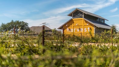 Harvest