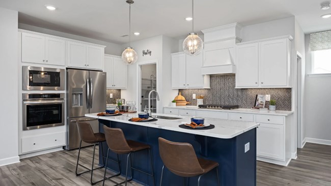 New Homes in Gregory Village by Davidson Homes