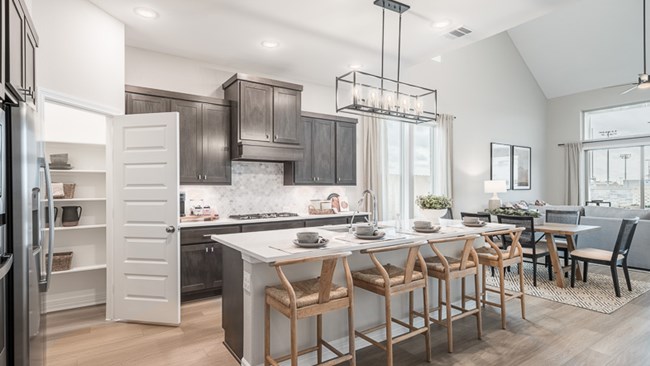 New Homes in Garden Glen at Clopton Farms by Tri Pointe Homes