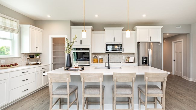 New Homes in Harbor at Grand Park Village by Beazer Homes
