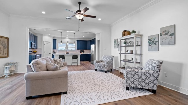 New Homes in Hammock Bay - Starburst and Wildflower by DSLD Homes