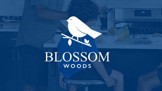 New Homes in Blossom Woods by Buffington Homes