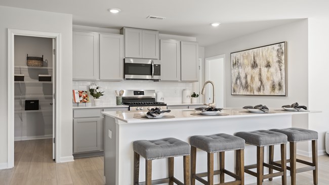 New Homes in The Village at Glenn Hills by Lennar Homes