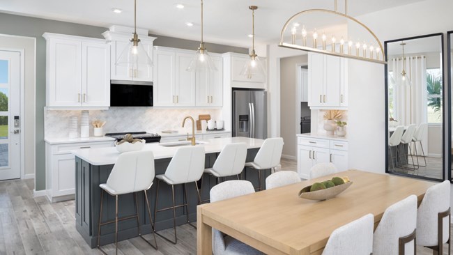 New Homes in Brightmore at Wellen Park by Mattamy Homes