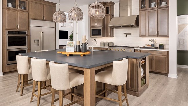 New Homes in Aloravita South Summit Collection by Taylor Morrison