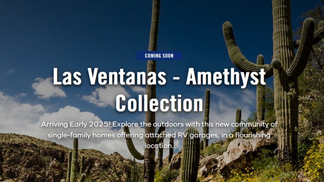 New Homes in Las Ventanas - Amethyst Collection by Mattamy Homes