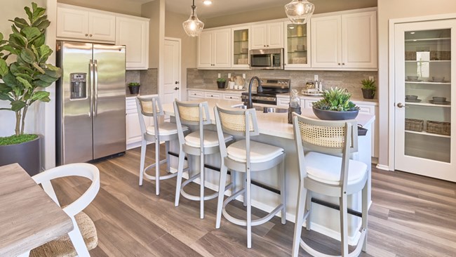 New Homes in Ciena by Tri Pointe Homes