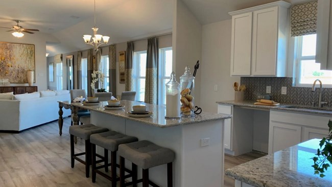 New Homes in Anderson Lake by Smith Douglas Homes