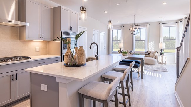 New Homes in Belmont Park - Landmark by Beazer Homes