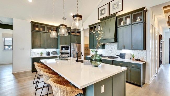 New Homes in Hawkes Landing by Brightland Homes