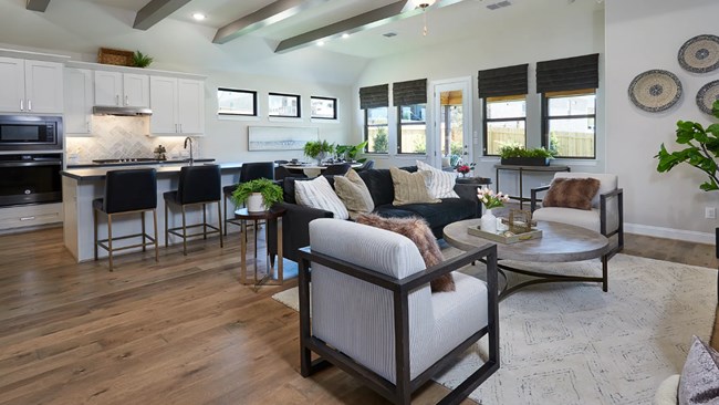 New Homes in Aldeana by Brightland Homes