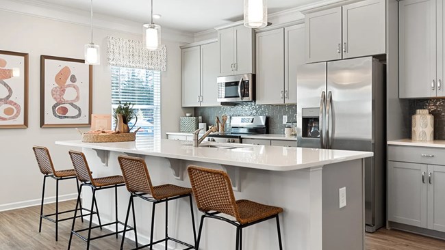 New Homes in Reedy Branch by Smith Douglas Homes