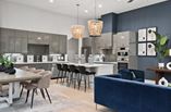 New Homes in Bluebonnet Lofts