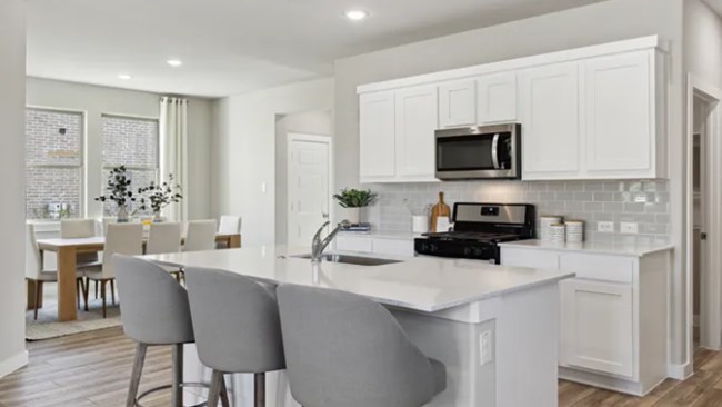 New Homes in Lowry Trails by Trophy Signature Homes