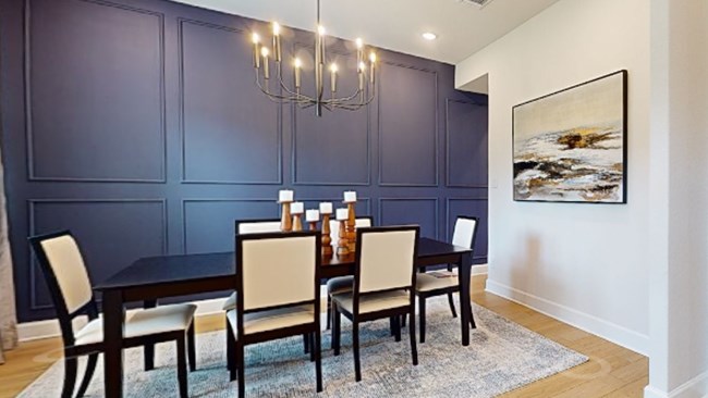 New Homes in Pradera Ridge by Texas Homes