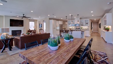 New Homes in Agave at Spencer's Crossing