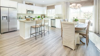 New Homes in Cara Pointe at Avenida
