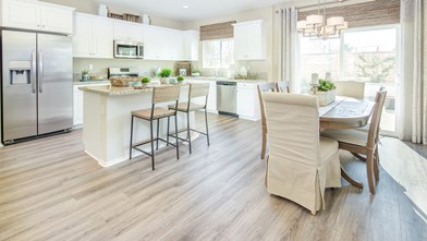 New Homes in Cara Pointe at Avenida