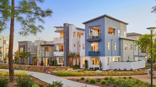New Homes in Lyric at Cadence Park