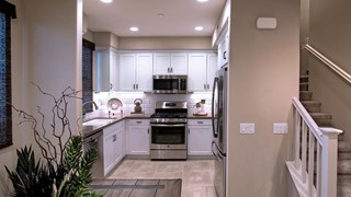 New Homes in Teso Robles
