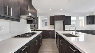 New Homes in Sol Hollywood