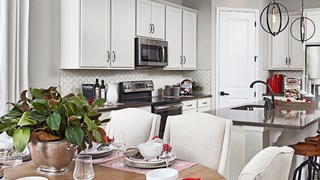 New Homes in Horizons at Terramor