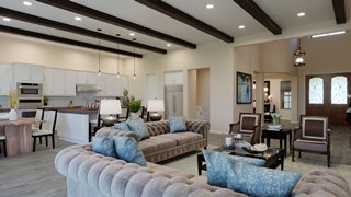 New Homes in LaStancia